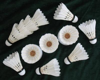 China High-training badminton shuttlecocks of DAYI-bisai grade badminton shuttlecocks for sale