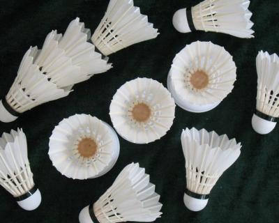 China DAYI-xuanshou grade badminton feather shuttlecocks for sale