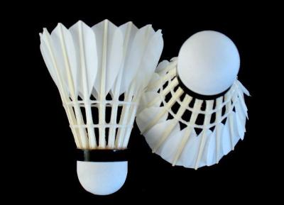 China DAYI-xuanshou grade badminton feather shuttlecocks for sale