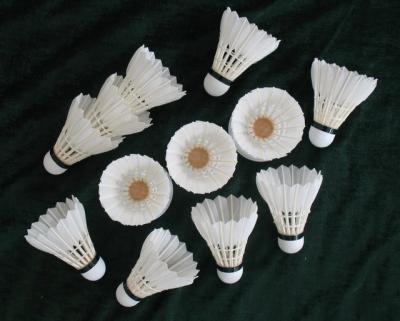 China Indoor training shuttlecocks of DAYI-changguan grade badminton for sale