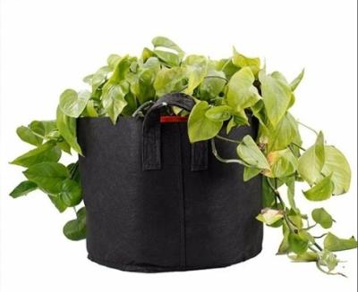 China Outdoor Plant Growing Garden Cloth Plant Growing Bags For Spreading Customized Growing Bag Strawberry Potato Plastic Growing Bag for sale