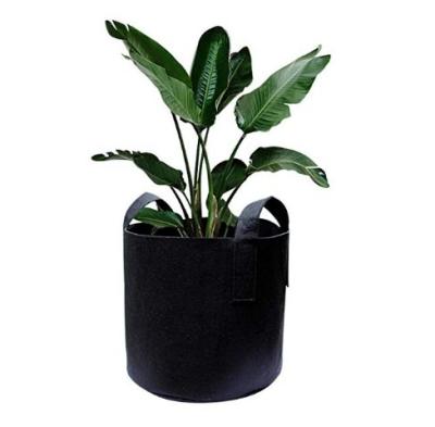 China 2022 Cheap Plant Growing Price Cloth Plant Potted Plant Bag Tree Growing Outdoor Planting Bag for sale