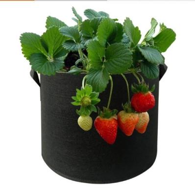 China Outdoor Plant Growth Garden Cloth Plant Growing Bags For Spreading Customized Bag Plastic Growing Pot Strawberry Planting Trees for sale