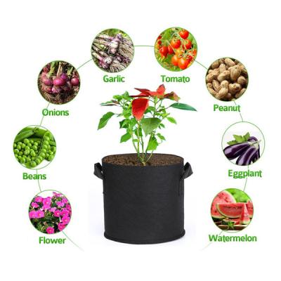 China 2022 Outdoor Plant Growth Garden Cloth Plant Grow Bags Customized Cheapest Growing Bag Strawberry Potato Growing Bag for sale