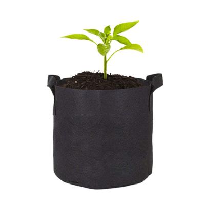 China Cheap Growing Plants Growing 1-400 Gallon Vegetable Grow Price Cloth Potted Plant Bag Tree Growing Outdoor Planting Bag for sale