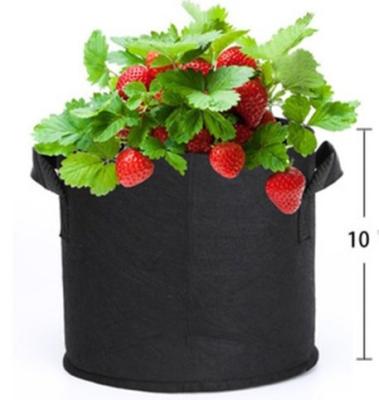 China Cheap Growing Plants 2022 Gallon-400 Gallon Vegetable Growing Price Fabric Plant Potted Plant Bag Tree Growing Outdoor Planting Bag for sale