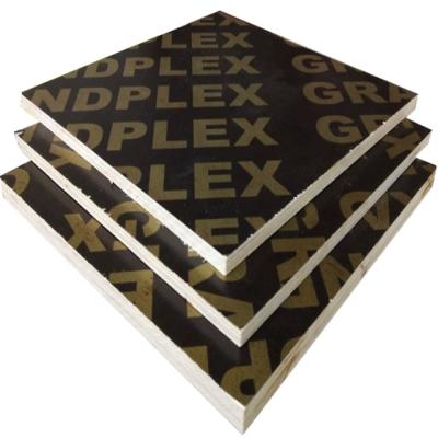 China Modern concrete 19mm shuttering plywood price for sale