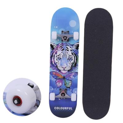 China Hot Selling Concave Amazon Surf Griptape Skateboard Maple Adults Kids Kids Skateboard for sale