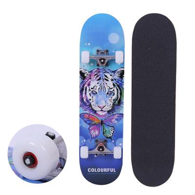 China Young One Stop Solution High Speed ​​Double Rocker Surf Skateboard Grip Tape Skateboards For Sale for sale