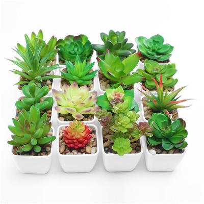 China Mini Indoor Home Decoration Artificial Succulent Plants In Stock for sale