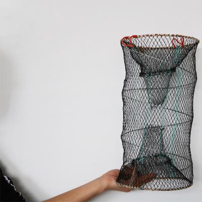 China Fish/Lobster/Crab Spring Trap 30*60cm Spring Trap Trap Crayfish Minnow Crab Crab Traps Blue Crab Traps for sale