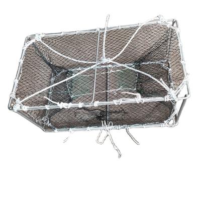 China Horseshoe Crab Fish/Lobster/Crab Horseshoe Crab Trap Stainless Steel Strong Crab Trap for sale