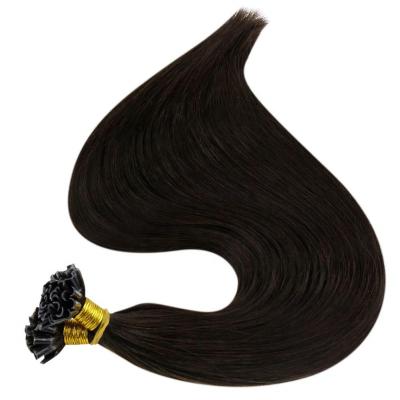 China Vietnamese Keratin Hair Straight Super Double Straight U Tip 100 Remy Virgin Human Hair Extension for sale