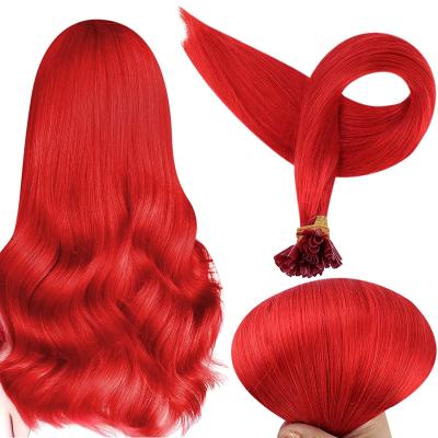 China Customized 100 Straight Virgin Super Silky Straight Double Drawn Indian Human Hair Extension Red Color for sale