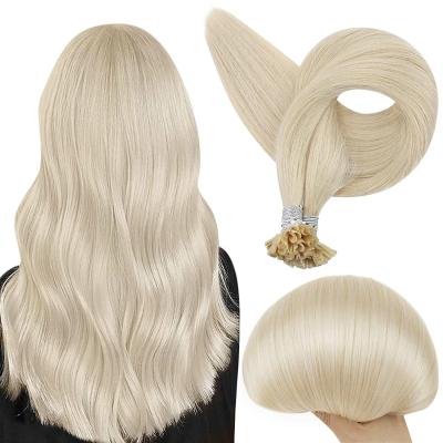 China Hot Selling Super Straight 100 Human Hair #60 European Hair Extension Double Drawn Extension For Women for sale