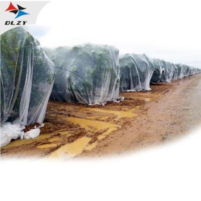 China Anti Farm Bee Net / Bee Netting HDPE / Anti Hail Netting for sale