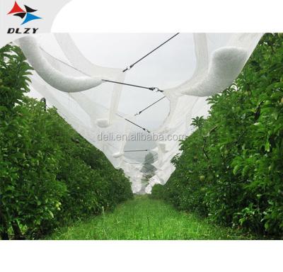 China 2019 New Farm Plants Custom Agricultural Protective Mesh Anti Hail Net For Orchard for sale