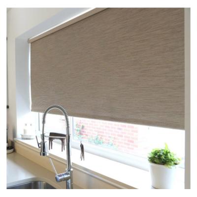 China ROMAN Window Roll Shade Exterior Roll Blinds for sale