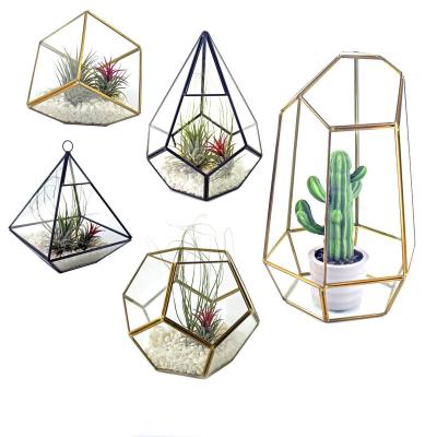 China Home Multi Frame Tabletop Gold Geometric Flower Metal Vase Decor Mini Glass Vase Greenhouse for sale