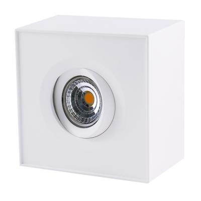 China Surface Mounted Tilt 2020 Lepu New 360deg Flicker free surface mounted downlight single and double head for choose for sale