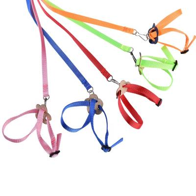 China Viable Small Pets Leash Multicolor Adjustable Bird Harness And Complete Leash Set Birds Harness Parrot Training Leash for sale