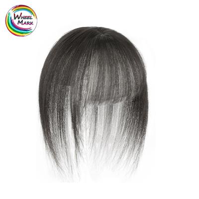 China Heat Resistant High Temperature Fiber Soft Lead Wig Synthetic Bangs Bangs Bangs With Sideburn for sale