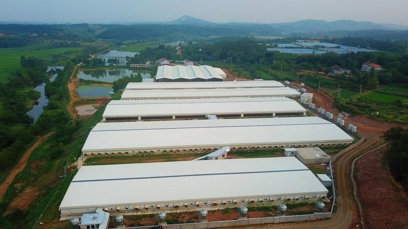 Verified China supplier - Qingdao SEME Animal Husbandry Engineering Co., Ltd.