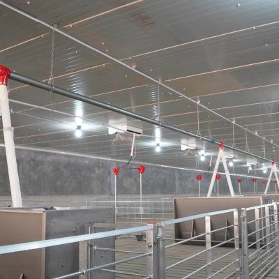 China Farms Pig Farm Equipment Fattening Pig Pen Crate System Pigs Finishing Crates for sale