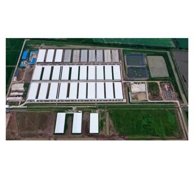 China Pig Farm Tower Key Solution for Pig Farm CPE Project for Pig Farm for sale