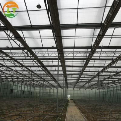 China Gewächshaus Mehrspannung Landwirtschaft Polykarbonat Gewächshaus für eine optimale Luftströmung zu verkaufen