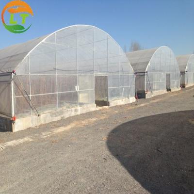 China LiTai Greenhouse Single-span PE Film Greenhouse with Ventilation System on Side Window for sale