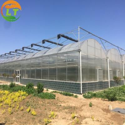 China Customized Length Film Multi-Span Greenhouse with Film Cover at Affordable for sale