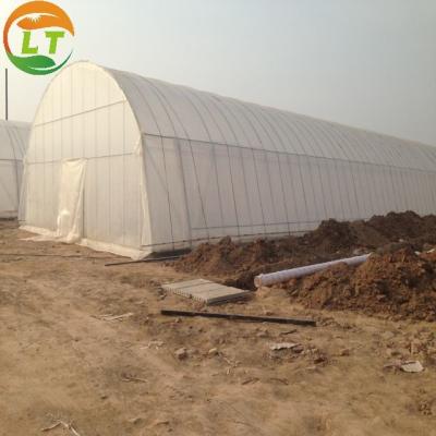 China Single-Span Agricultural Greenhouse for Cultivation of Vegetables Fruits and Flowers for sale