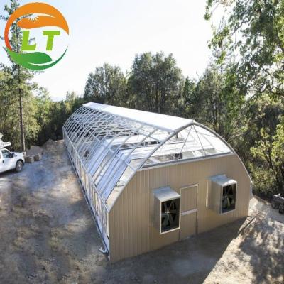 China 6 m/8 m/10 m/Customized Width Greenhouses and Easy to Install for Optimal Plant Growth for sale