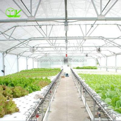 China Optimal Aquaponics Hydroponic System Greenhouse with Single Layer and 3.0-4.5m Height for sale