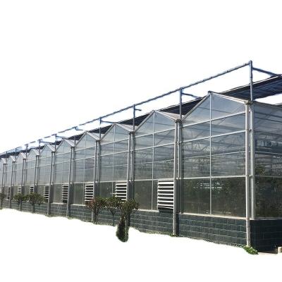 China Multi-span Glass Greenhouse Agricultural Instruction with Super Strong Resistance for sale