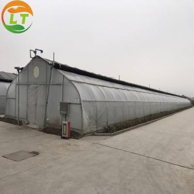 China Greenhouse Grow Tent for Single-Span Agricultural Greenhouses and Indoor Growing for sale