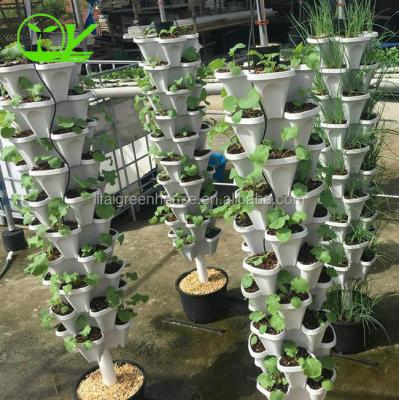 China Hydroponic Plant Growth Systems Greenhouses for Optimal Results for sale