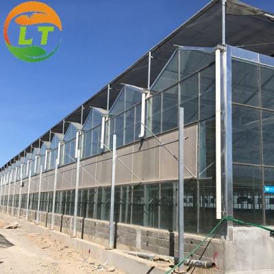 China Stable Structure Glass Greenhouse for Growing Vegetables Tomato Skeleton Greenhouse for sale