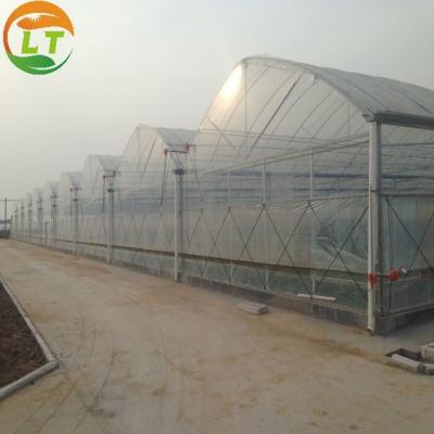 China 95% Transmittance Agricultural Plastic Film Greenhouse With Film Cover Material for sale