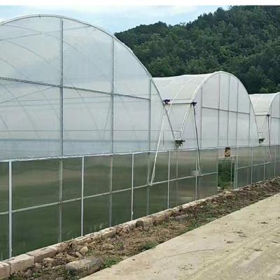 China Agricultural Greenhouse Ltd. Presents Large Vertical Hydroponic System for Lettuce for sale