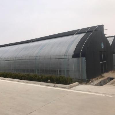 China Invernaderos solares agrícolas con sistema de ventilación y espacio de arco personalizable en venta