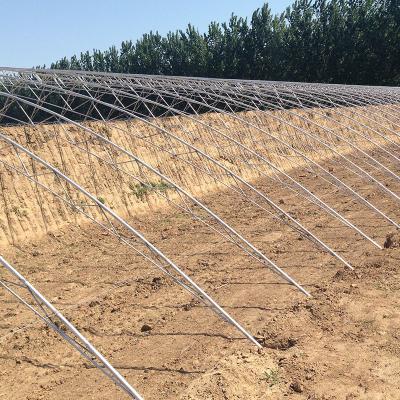 China Invernaderos solares agrícolas diseñados de manera eficiente para el cultivo de flores y verduras en venta