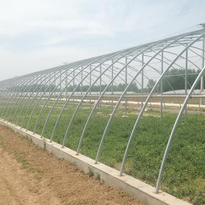 China Plastic Film/Glass Greenhouse For Agriculture And Livestock  Height Designable for sale