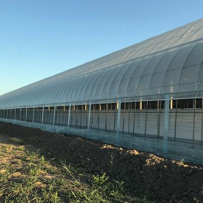 China Water Heating System Korean Mode Film Agricultural Greenhouses for Year-Round Farming for sale