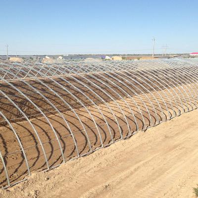 China Gemüse Obst Blumen Winter Sonnenlicht Solar Gewächshaus Chinesischer Stil zu verkaufen