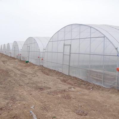 China Mini Greenhouses UV Resistant Agricultural Durable Plastic Film and Sides Ventilation for sale