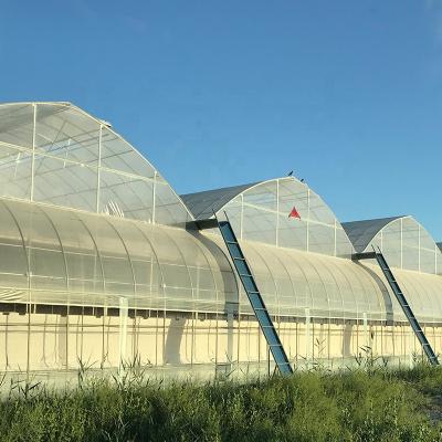 China Multi-Span Agricultural Greenhouses Advanced Hydroponic Growing System for Section 4m/8m for sale