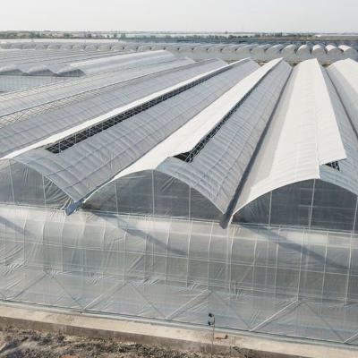 China Automatic Controlling System Single Layer Greenhouse for Commercial Korean Model Film for sale