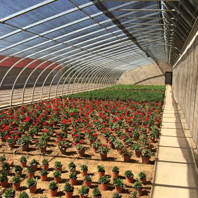 China Optimizar el crecimiento con el sistema de sombreado exterior e interior en el invernadero de tomate hidropónico en venta